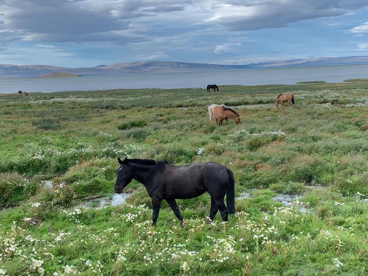 Apart Azul Calafate El Calafate Dış mekan fotoğraf